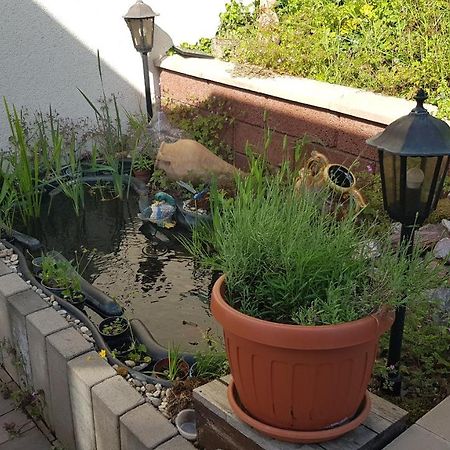 Apartment Gartenblick Neunkirchen  Zewnętrze zdjęcie