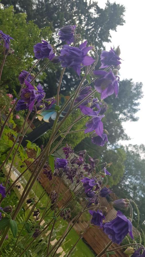 Apartment Gartenblick Neunkirchen  Zewnętrze zdjęcie